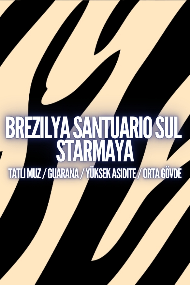BREZILYA SANTUARIO SUL STARMAYA