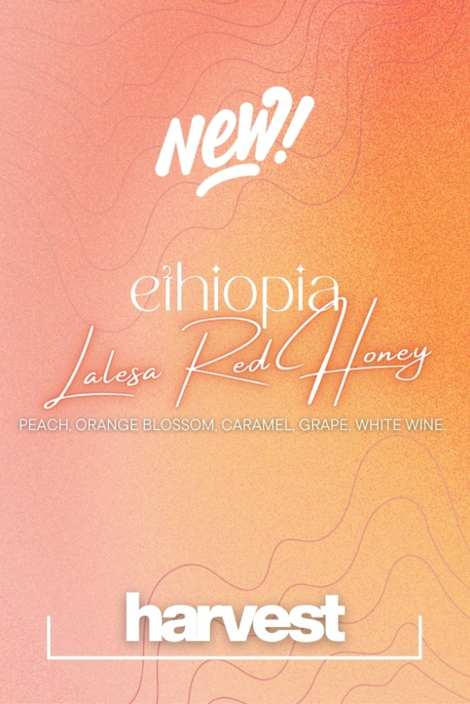 LALESA RED HONEY 