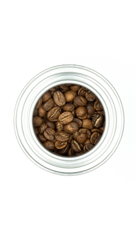 JAIRO ARCILA FINCA MAZATLAN