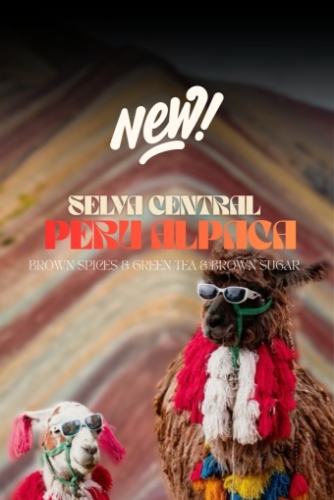 SELVE CENTRAL PERU ALPACA 