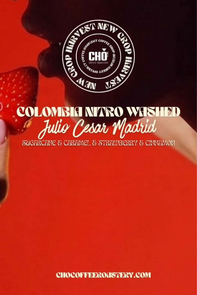 COLOMBIA JULIO CESAR MADRID / NITRO WASHED
